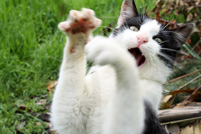 俱乐部内部：球队如何打造高效磨合？，足球俱乐部训练