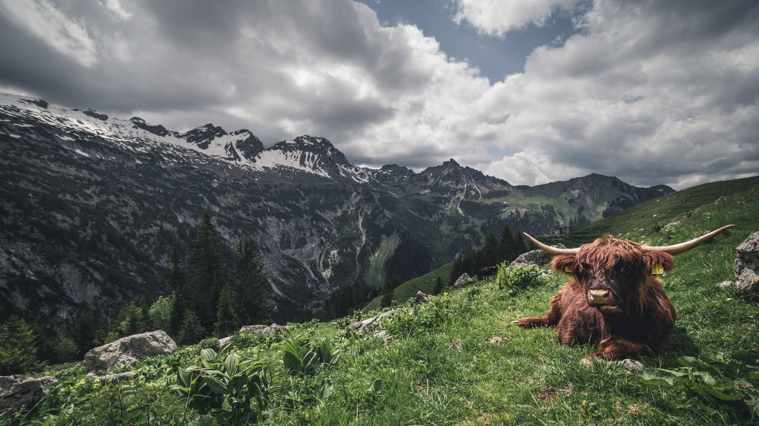 开云真人体育娱乐-_开幕式盛况：多彩舞台点亮运动激情_，精彩开幕式