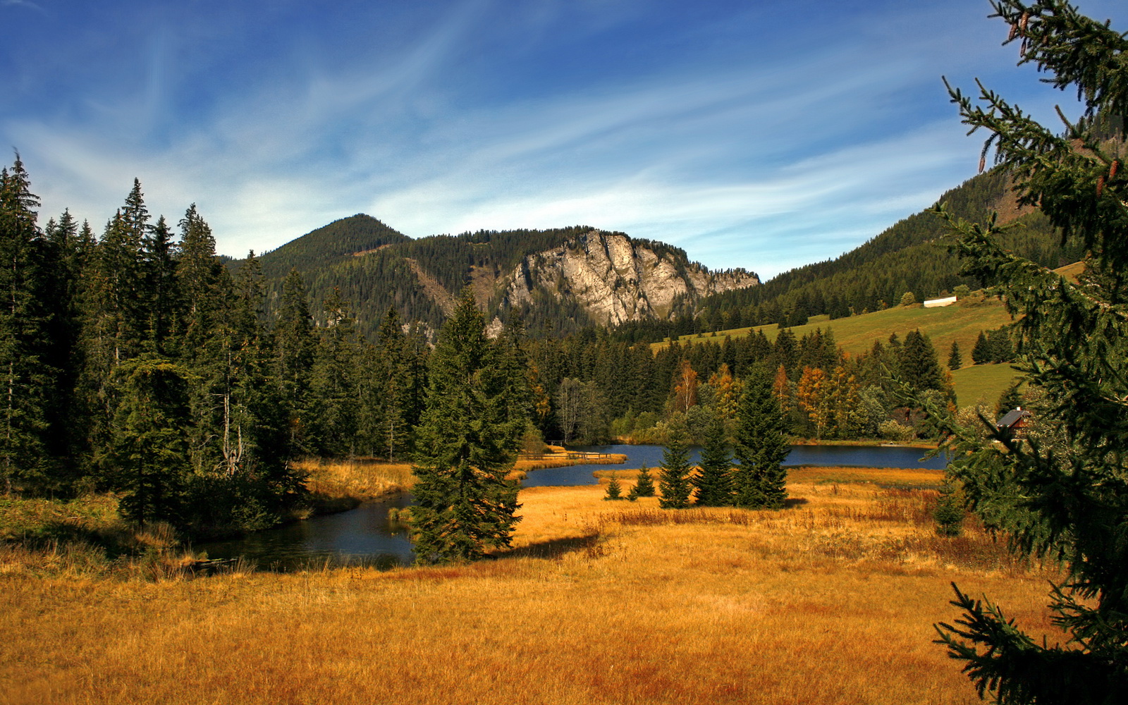 “自动化判罚与新规则的结合,推动“快节奏”比赛的科学化发展”